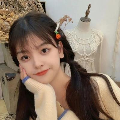 杀手妻子的保镖